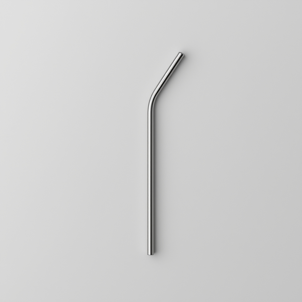 Stainless Steel Straw dishwasher safety